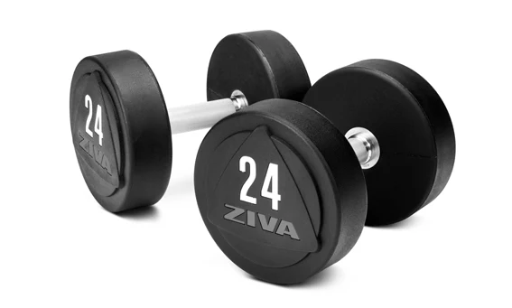 ZVO Solid Steel Urethane Dumbbells ZIVA ZVO