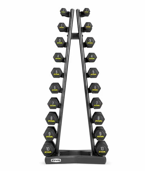 Sl 1-10Kg Vertical Dumbbell Rack ZIVA SL