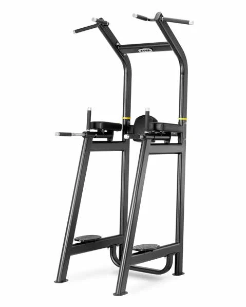 Multi-Grip Knee Raise/Dip/Pull-Up Station ZIVA ZIVA