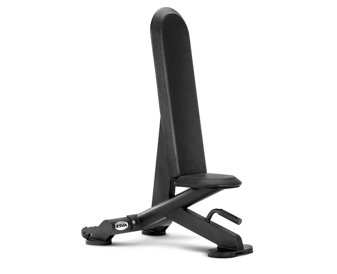 Ex Utility Bench 2.0 ZIVA EX