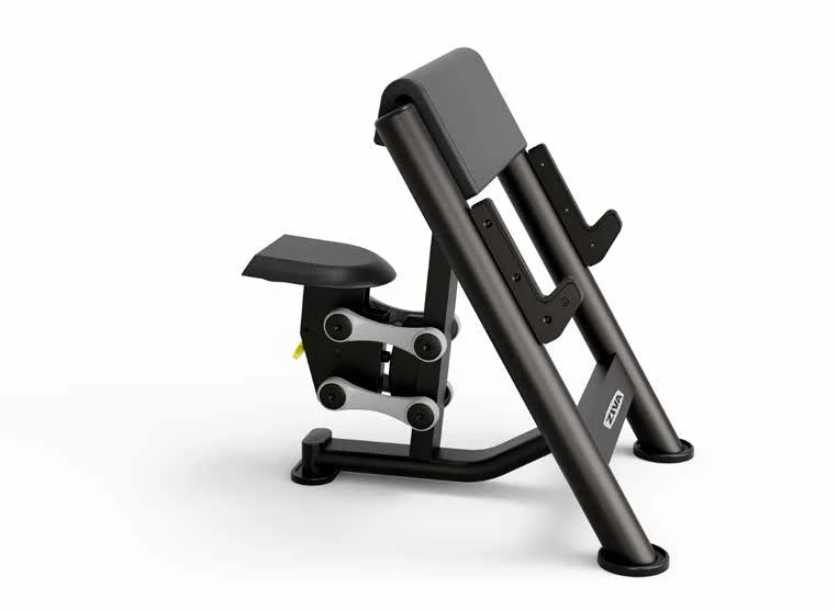 Ex Scott Curl Bench 2.0 ZIVA EX