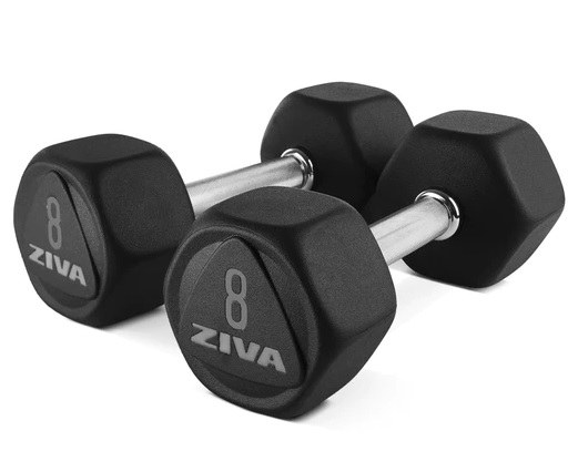 Performance Dumbbells · Grey ZIVA Performance